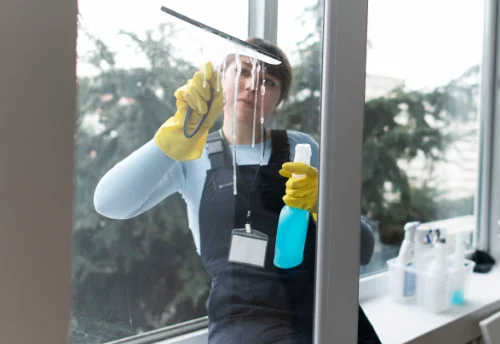 Nettoyage de vitres intérieures et extérieures à Villeneuve-la-Comtesse